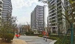 温岭一小区爆料新闻视频,业主爆料，真相令人震惊！